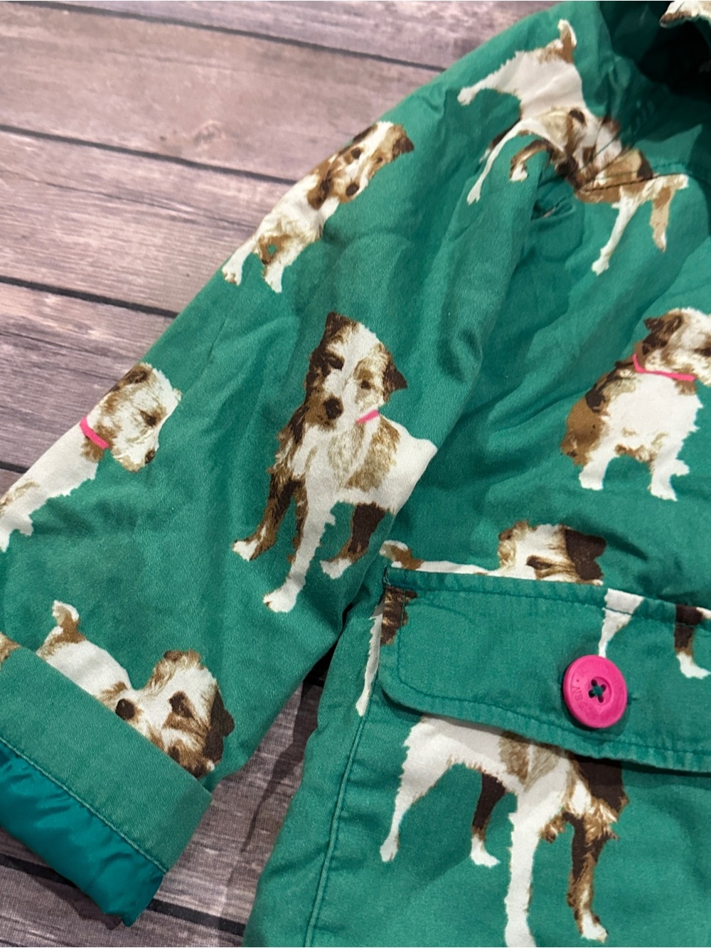 Mini Boden green dog coat - Picture 5 of 13